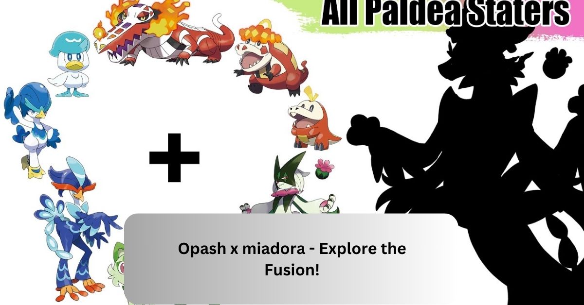 Opash x miadora – Explore the Fusion!